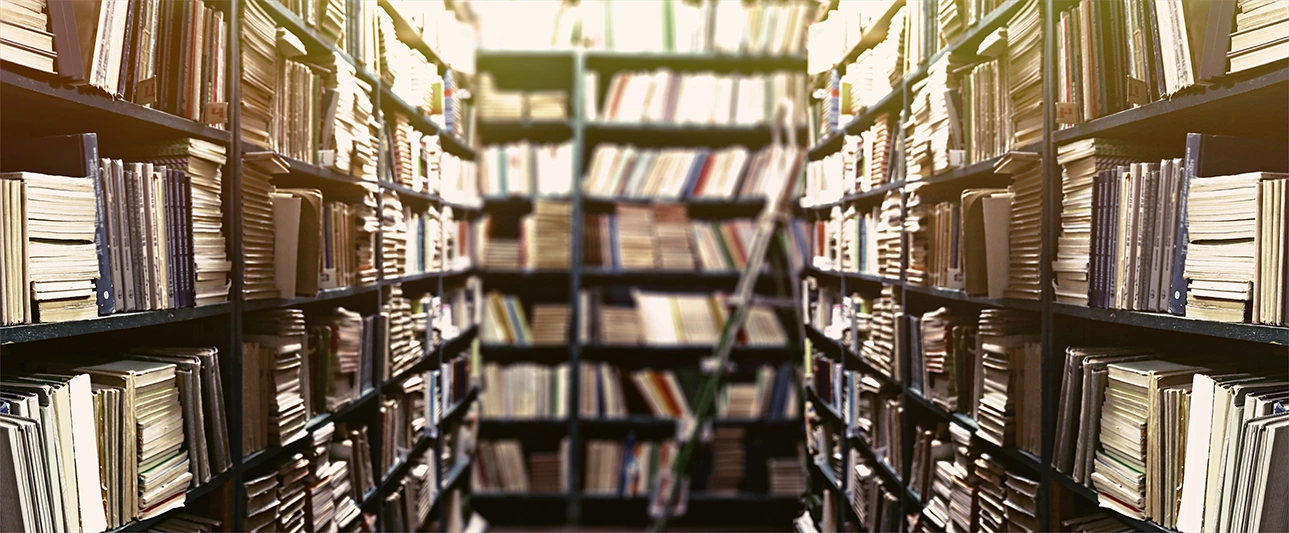 Digital Library Technology